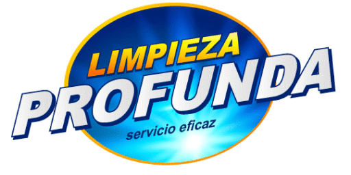 limpiezaprofunda.mx